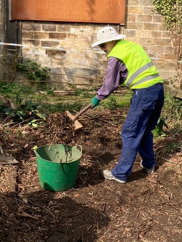 Hard at work on a sunny day